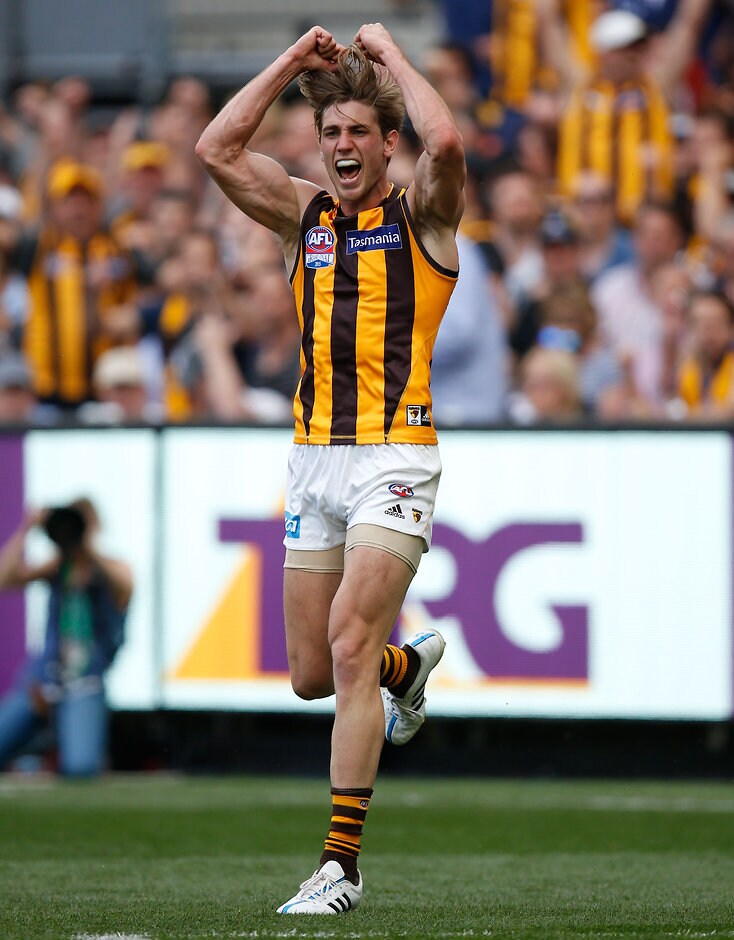 2015 Toyota AFL Grand Final - Hawthorn v West Coast MELBOURNE, AUSTRALIA - OCTOBER 3: Ryan Schoenmakers of the Hawks celebrates a goal during the 2015 Toyota AFL Grand Final match between the Hawthorn Hawks and the West Coast Eagles at the Melbourne Cricket Ground, Melbourne, Australia on October 3, 2015. (Photo by Michael Willson/AFL Media)